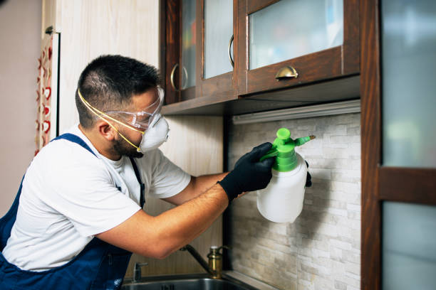 Best Pest Control Near Me  in Harrisonburg, VA