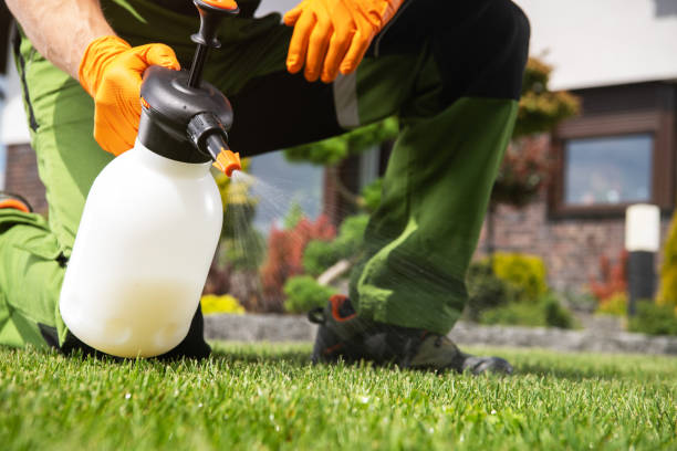 Best Spider Control Near Me  in Harrisonburg, VA