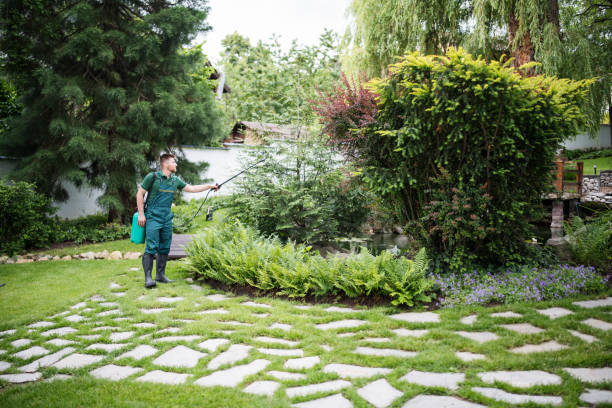 Best Pest Control Treatment  in Harrisonburg, VA