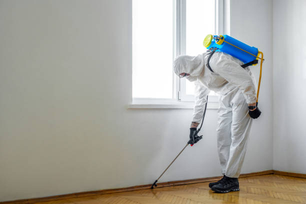 Best Local Pest Control Services  in Harrisonburg, VA