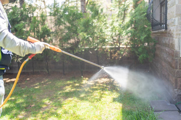 Pest Control for Restaurants in Harrisonburg, VA