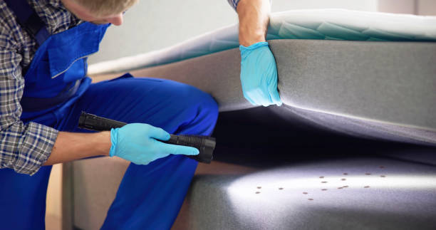 Best Best Pest Control Companies  in Harrisonburg, VA