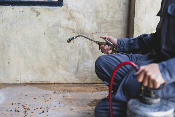 Best Pest Inspection Near Me  in Harrisonburg, VA
